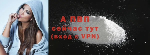 ПСИЛОЦИБИНОВЫЕ ГРИБЫ Белокуриха