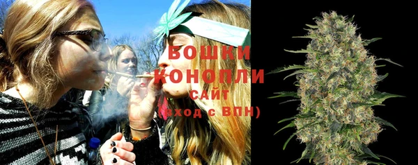 ПСИЛОЦИБИНОВЫЕ ГРИБЫ Белокуриха