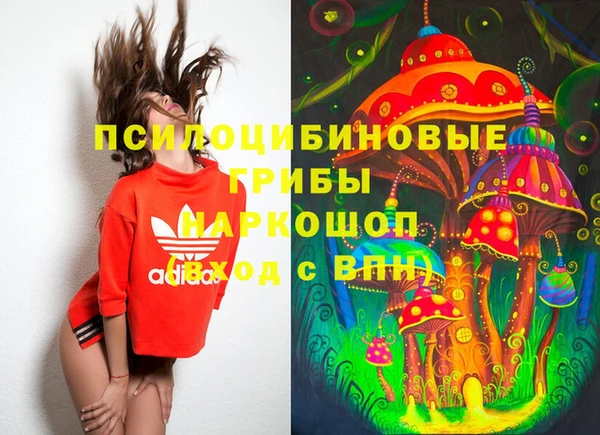 ПСИЛОЦИБИНОВЫЕ ГРИБЫ Белокуриха