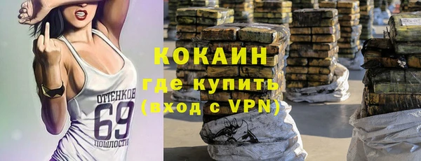 ПСИЛОЦИБИНОВЫЕ ГРИБЫ Белокуриха