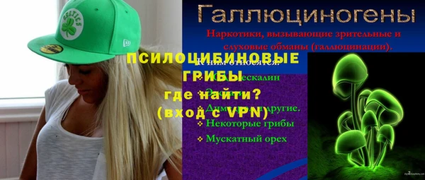 ПСИЛОЦИБИНОВЫЕ ГРИБЫ Белокуриха